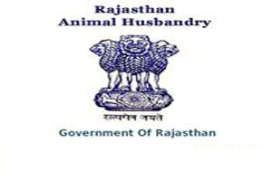 advisory of animal husbandry rajasthan in november 2025