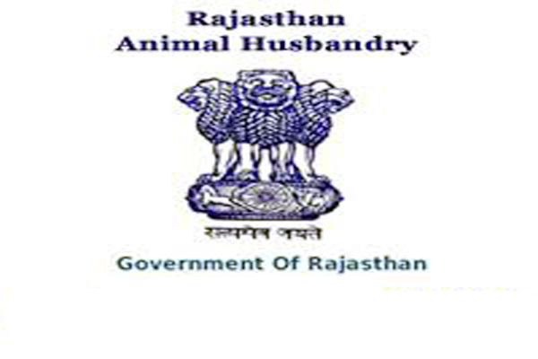 advisory of animal husbandry rajasthan in november 2025